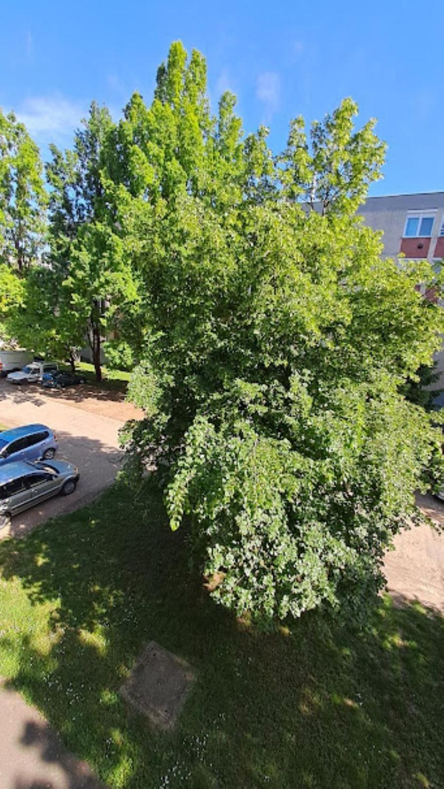 Szilfak City Apartman Hajdúszoboszló 외부 사진
